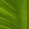 Image Not Available